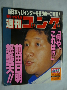 週刊ゴング■1995年 11/9 No.587 平成7年■ピンナップポスター/ジャイアント馬場,新日本VSUインター,前田日明 怒髪天!,女子プロ,天破狂乱