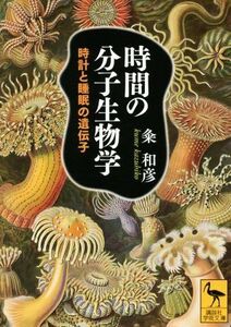 時間の分子生物学 時計と睡眠の遺伝子 講談社学術文庫/粂和彦(著者)