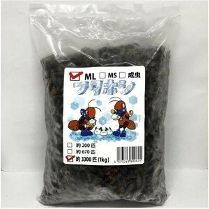 【送料無料・邑楽ファーム・クール便発送】冷凍フタホシコオロギ　ＭLサイズ　１ｋｇ(約3300匹入り)