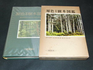 ｂ５■原色日本樹木図鑑/昭和52年４１刷