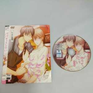 パパだってしたい　レンタル落ちDVD