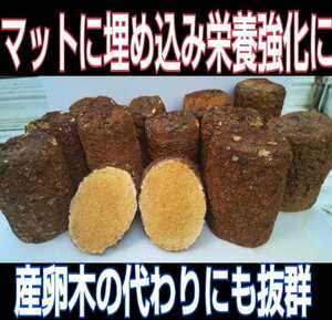 カブトムシマットにブロックのまま埋め込むと幼虫が潜り込みモリモリ食べて大きくなる！椎茸菌床4個☆クヌギ100％原料使用！産卵材にもOK！