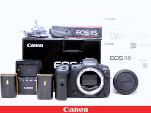 ◇４千ショット以下◇Canon キャノン EOS R5 ボディ 元箱完備◇使用少極上美品★EOS最高解像性能 4500万画素 35mm フルサイズCMOSセンサー