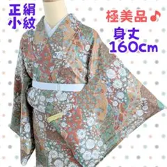 極美品 着物 袷 小紋 身丈160cm しつけ糸付 上品 辻が花風 絞り正絹