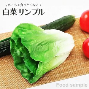 食品サンプル 白菜 リアル 野菜 はくさい サンプル品 見本 見本品 模造 フェイク イミテーション 材料 部材 店舗 装飾 ディスプレイ