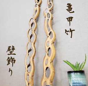 【希少】 亀甲竹　壁飾り　全長約85cm　厚さ1.5cm　竹製　銘竹　茶室　床の間　古道具　アンティーク　飾り物　繊細【120z416】