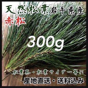 【産地直送松葉】300g 松葉茶　健康茶　サイダーにも　松茸の生える岩手県産松葉茶赤松 岩手県産松葉山頂採取　山岳に生える　松葉