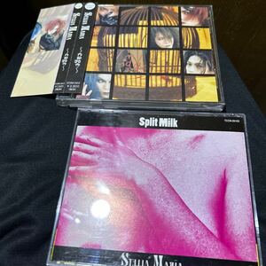 送料込み　STELLA MARIA　のCD　２枚セット