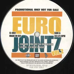 欧12" Various Euro Jointz Vol.2 EJ002 NONE /00250