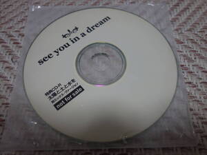 さがゆき 大友良英 「see you in a dream の特典CD-R」