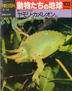 ■　週刊朝日百科　動物たちの地球 102 両生類・爬虫類⑥ ヤモリ・カメレオン　ほか