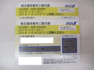 2505A　ANA 全日空 株主優待券 搭乗可能期間 2024年11月30日まで 2枚セット