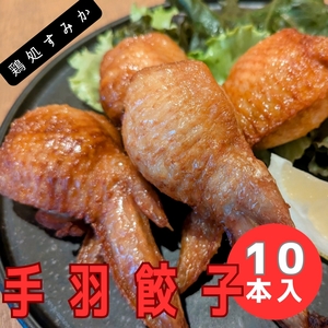 手羽餃子　冷凍手羽餃子　10本入　BBQ ホームパーティー　お取り寄せ　冷凍餃子　簡単調理　年末年始　お土産　手土産