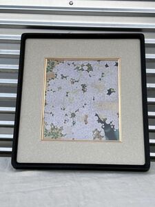 ◆色紙額　印刷画　橋本明治　朝陽桜◆A-2370