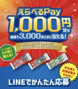大量当選 レシート懸賞 えらべるPay 1000円分が 3000名様に当たる PayPay auPAY dPOINT amazonギフト ポンタ nanaco WAON