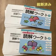 裁断済み:ゆっくリていねいに学びたい子のための読解ワーク 3-1,3-2