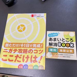 未使用★進研ゼミ高校講座★2点☆ニガテ攻略のコツここだけは！他☆ベネッセ