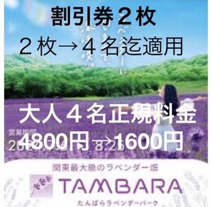 出品数量1-9/たんばらラベンダーパーク入園割引券２枚　４名迄割引適用/大人1200円→400円/タングラム斑尾野尻湖テラス，観光リフト割引券