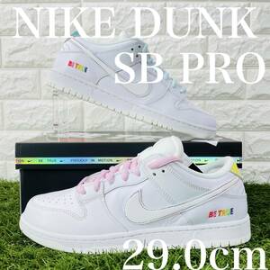 即決 ナイキ SB ダンク ロー プロ ビートゥルー NIKE SB DUNK LOW PRO BETRUE メンズ スニーカー 29.0cm 送料込み DR4876-100