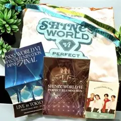 SHINee WORLD VI アップグレード限定グッズ