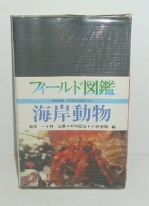 海1996『フィールド図鑑　海岸動物（補訂版第2版）』 益田一・林公義・中村宏治・小林安雄 編