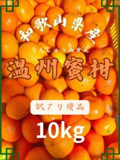 有田みかん　訳あり10kg