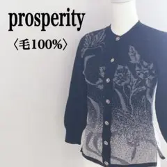 prosperity ウールニットカーディガン S ブラックベージュ ボタニカル