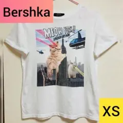 Bershka ベルシュカ 猫 Tシャツ XS ネコ ねこ にゃんこ ベルシカ