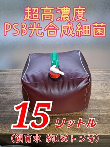 【倭めだか】 15リットル 超高濃度 PSB 光合成細菌 15L メダカ金魚ベタゾウリムシ タマミジンコ オオミジンコ タイリクミジンコ 等のエサに