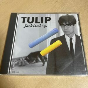 送料込み　JACK IS A BOY TULIP CD チューリップ　財津和夫