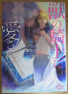 ★／ボーイズラブ小説／雛宮さゆら／２０１９年３月／即決／一夜人見／「獣の騎士に愛されて」