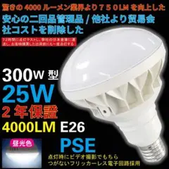 2点❗️ LEDビーム電球 ビームランプ 輝度IP65 防水 Ra82 100V