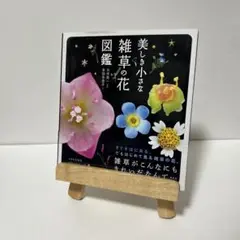 美しき小さな雑草の花図鑑