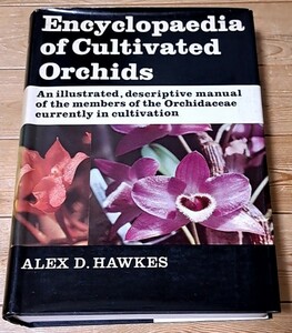 【洋書】Encyclopaedia of Cultivated Orchids 蘭の栽培 百科事典