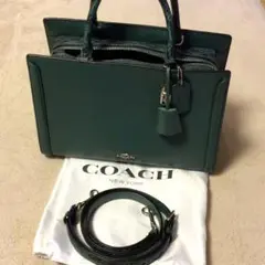 COACH /パイソン/ショルダーバッグ/レザー/GRN/アニマル/91036