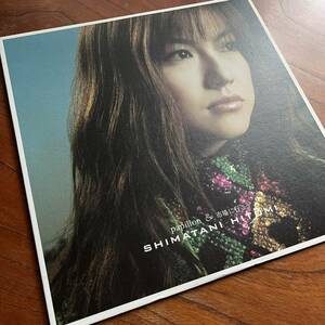 限定盤！12インチ J-POP 大名曲！島谷ひとみ『パピヨン』JANET JACKSON名曲「DOESN‘T REALLY MATTER」カヴァー/JAM＆LEWIS/中島美嘉/JUJU