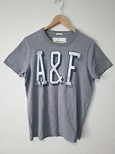 Abercrombie&Fitch アバクロンビー&フィッチ 半袖 ウレタンプリント Tシャツ M