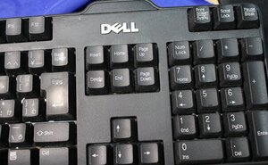 Dell メンブレンキーボード SK-8115 動作しています