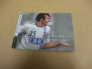 2009-2nd Jカード 月間MIP MIP8 ハーフナーマイク サガン鳥栖 サッカー インサートカード Jリーグ ヴァンフォーレ甲府