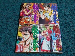 龍の拳-ドラゴンフィスト-☆1〜4巻　　　　　　岡村賢二