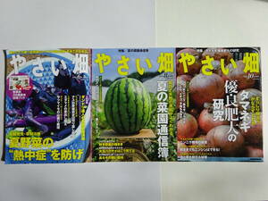 やさい畑2024年6月初夏号 ＋ やさい畑2024年8月夏号 ＋ やさい畑2024年10月秋号　３冊セット