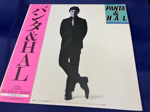 Panta＆Hal★中古LP国内盤帯付「パンタ＆ハル～1980X」