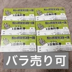 駒ヶ根高原スキー場 リフト1日無料券 2024-2025 6枚