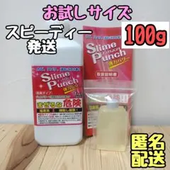 スライムパンチ お試し 100g 洗浄剤 洗剤 カビ取り剤 ジェル  取説付き