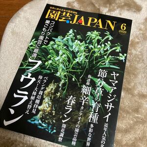 園芸JAPAN 2020年6月号　富貴蘭 長生蘭 春蘭 節分草 細辛 ヤマアジサイ