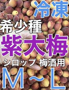 y407 冷凍紫大梅Ｌ～Ｍサイズ　4ｋｇ 冷凍クール便　 青梅　梅シロップや梅酒に最適（梅干し不可）和歌山の冷凍梅　キルトパッチ店（12）