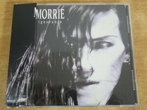 CDL-5131＜帯付＞MORRIE / ignorance