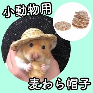 8【新品】★小動物★ハムスター★麦わら帽子★ストローハット★コスプレ★おもちゃ★ハリネズミ★小鳥★バードトイ★服★おしゃれ★