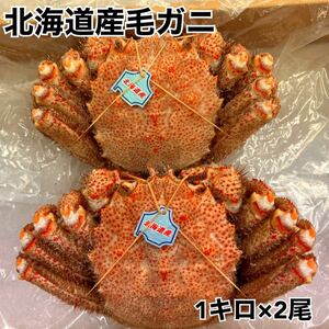 ◇超特大！北海道産毛ガニ1キロ×2尾