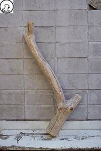 SEASIDEinterior☆枝分かれの幹流木,Cool driftwood for decorating 120